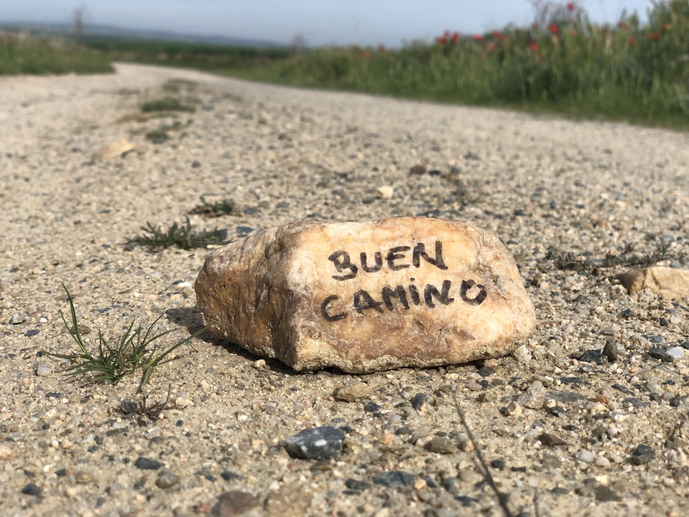 Camino s dětmi a se psem: jde to a na co se připravit