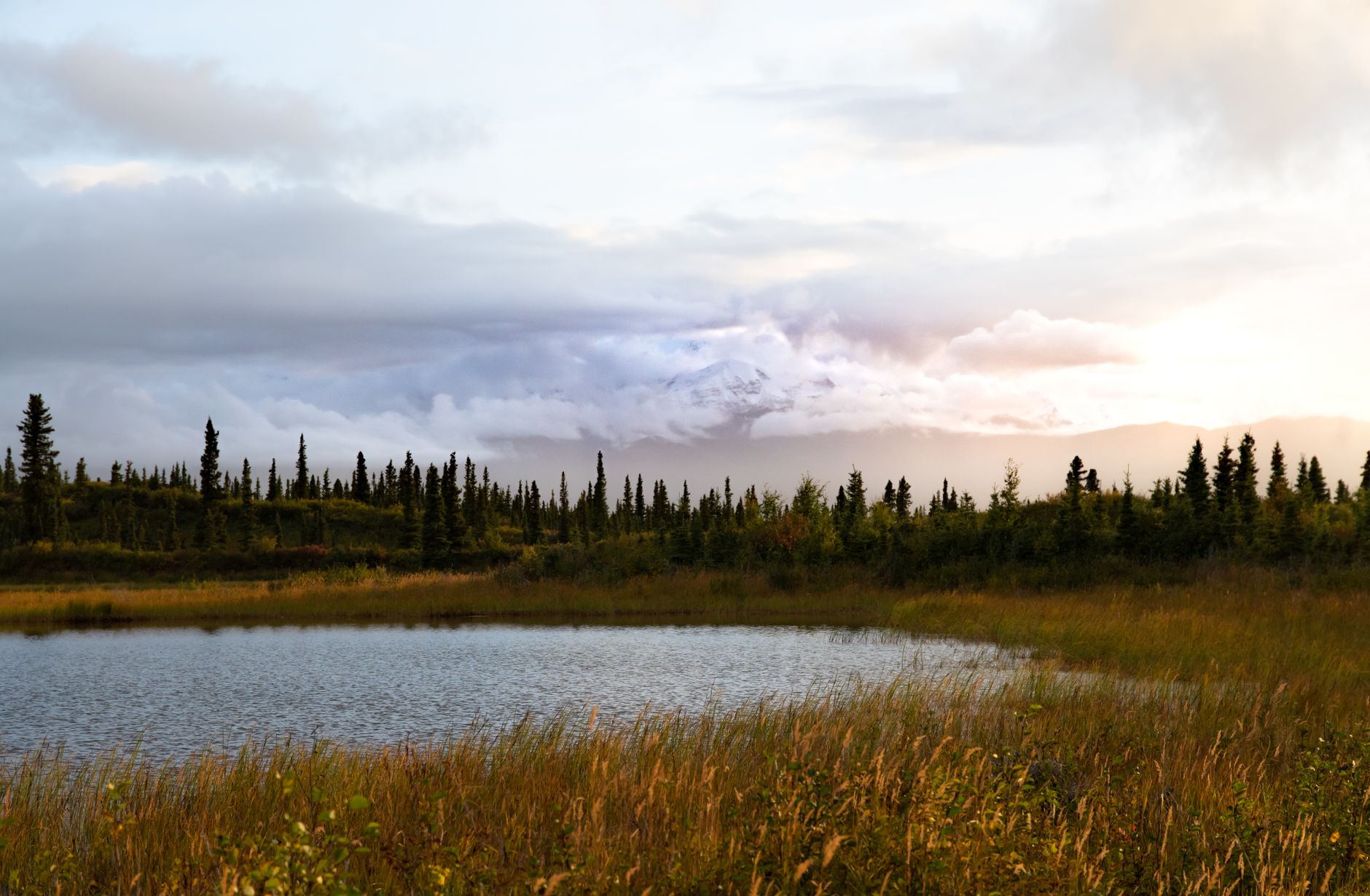 Hora Denali nad jezerem Wonder v národním parku Denali na Aljašce za jasného dne