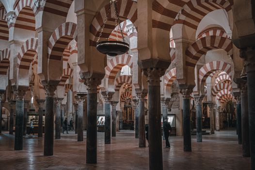 Zájezd do Andalusie