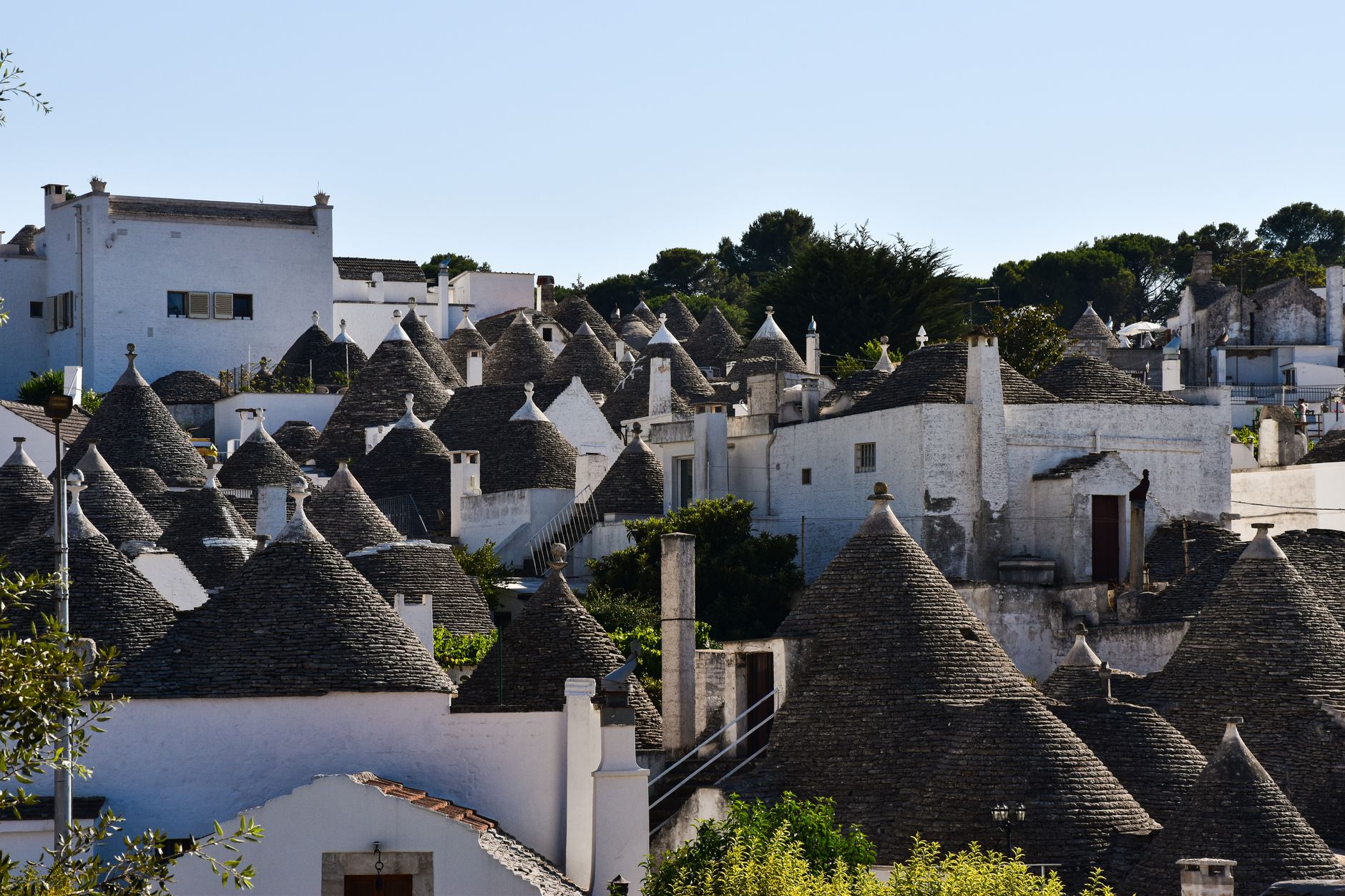 Bílé kuželovité domky trulli s šedými kamennými střechami ve městě Alberobello v Apulii