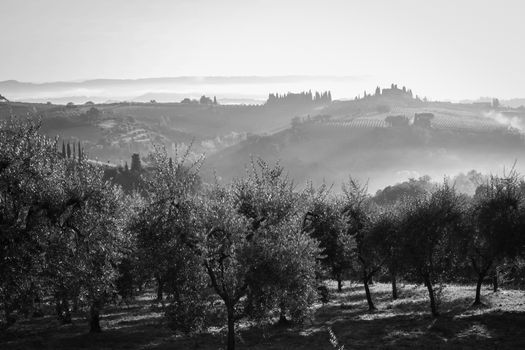 Zájezd do Assisi