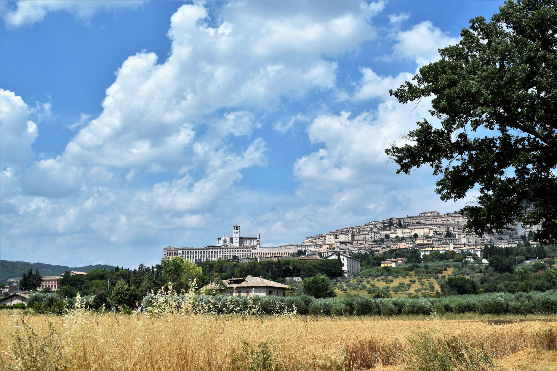 Panorama Assisi s bazilikou svatého Františka na umbrijském kopci v podvečerním světle