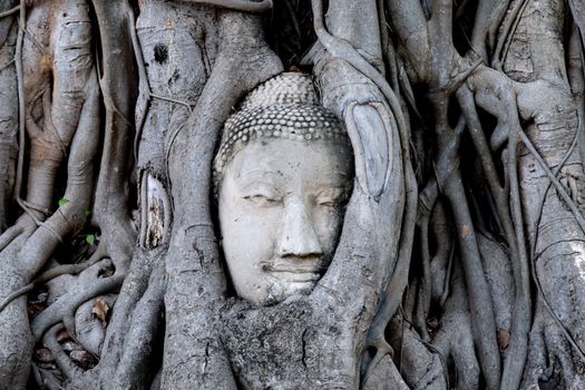 Zájezd do Ayutthaye