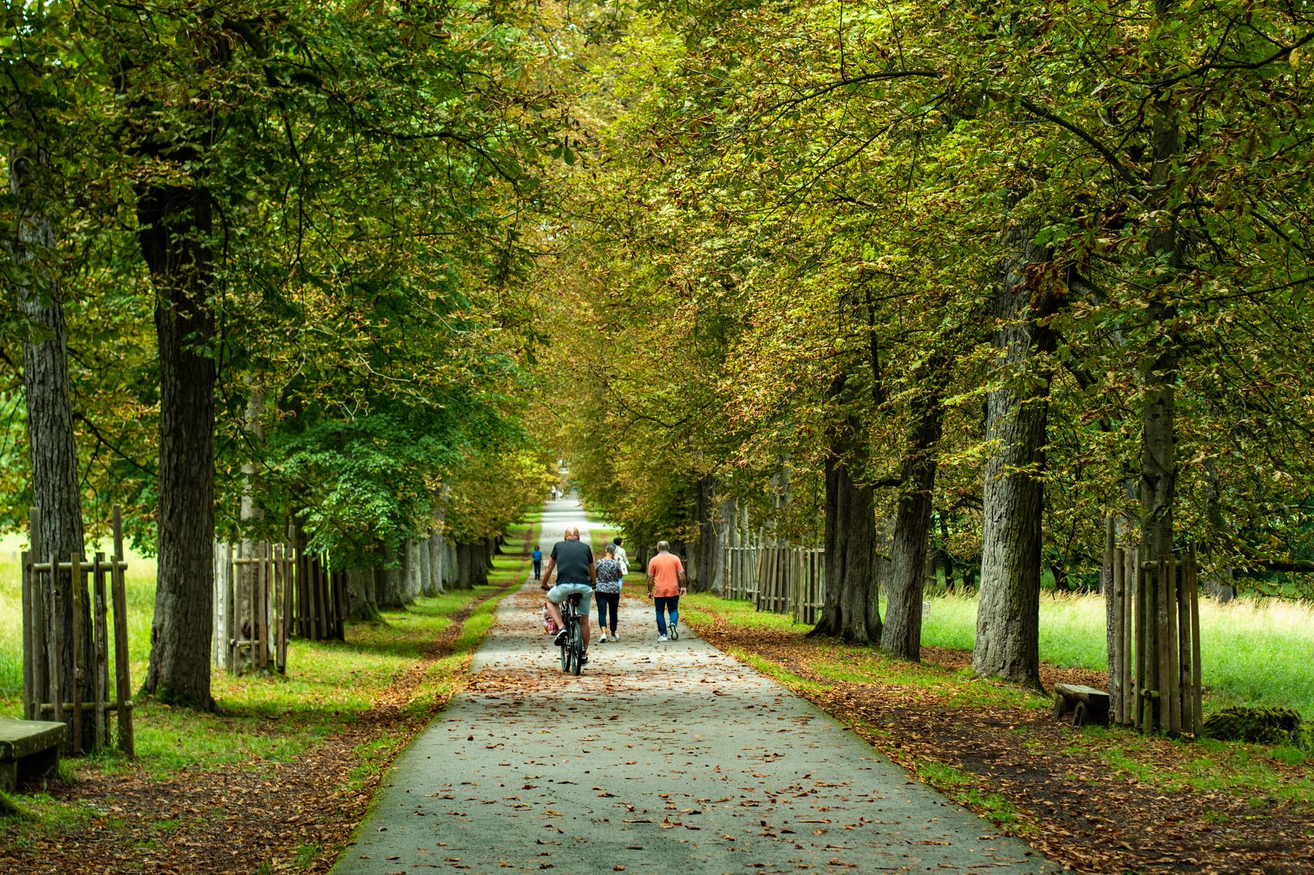 Historická lázeňská promenáda Lichtentaler Allee v Baden-Badenu se vzrostlými stromy a upravenými záhony