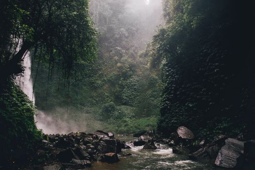 Zájezd na Bali