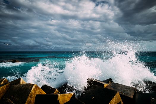 Zájezd na Barbados