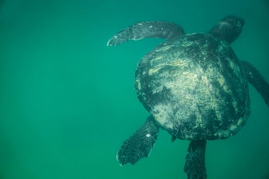 Zájezd na Barbados