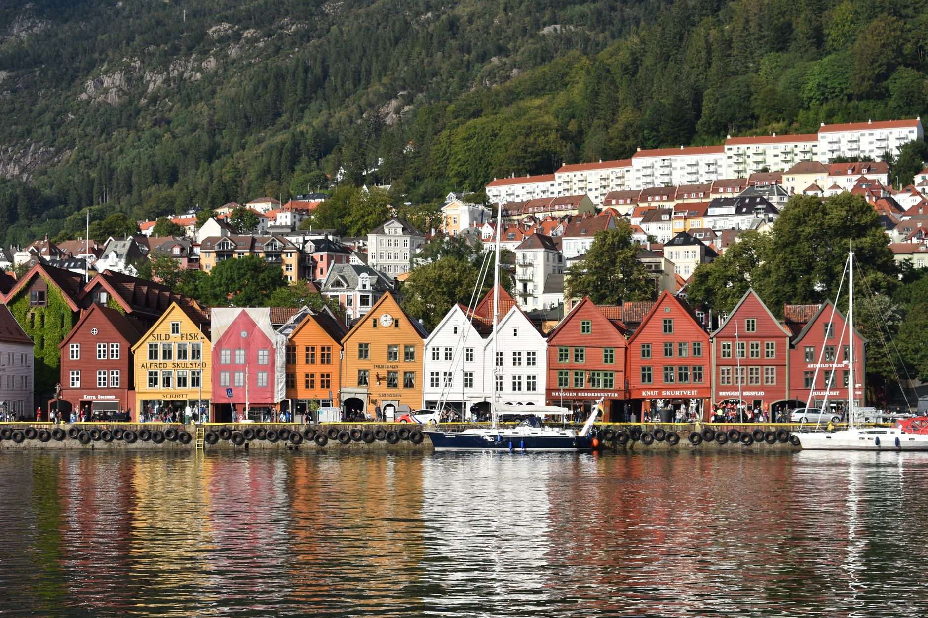 Barevné dřevěné domy čtvrti Bryggen v přístavu Bergen s horami v pozadí