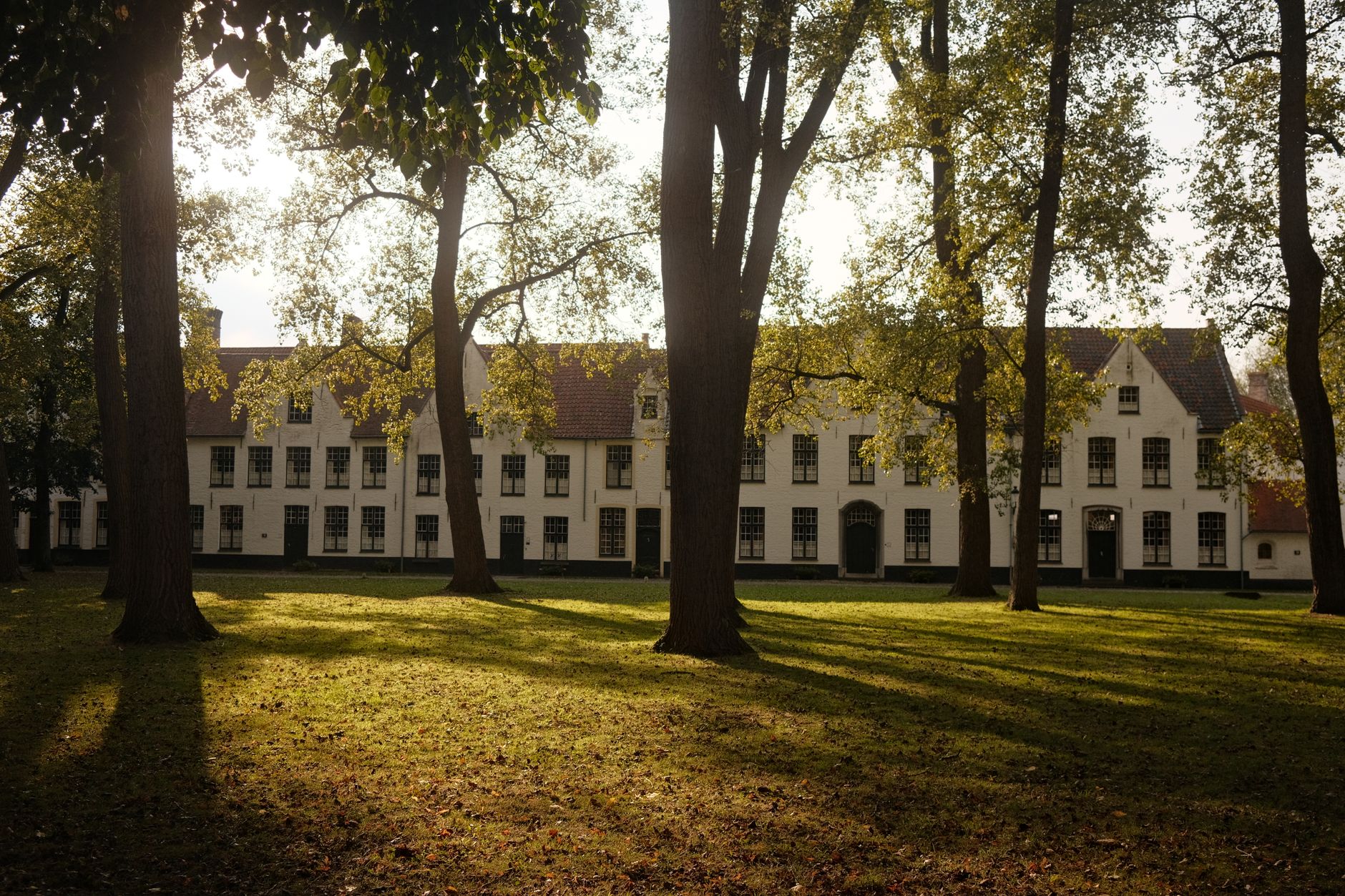Tiché nádvoří beguináže Begijnhof s bílými domky a stromy v Bruggách
