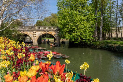 Zájezd do Cambridge