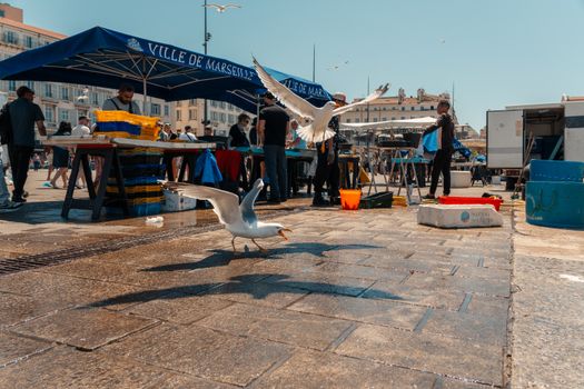 Zájezd do Cannes