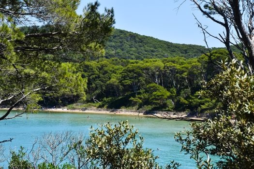 Zájezd do Cannes