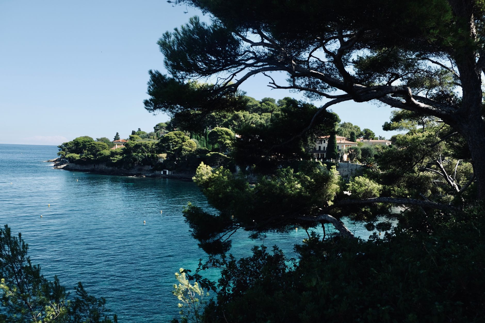 Borovicový les a pobřeží Lérinského ostrova Sainte-Marguerite u Cannes