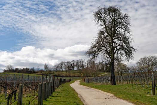 Zájezd na zámek Chambord