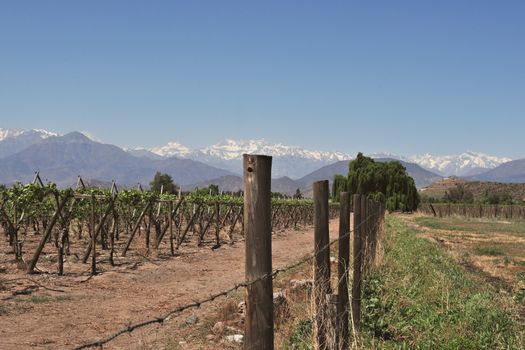 Zájezd do Chile