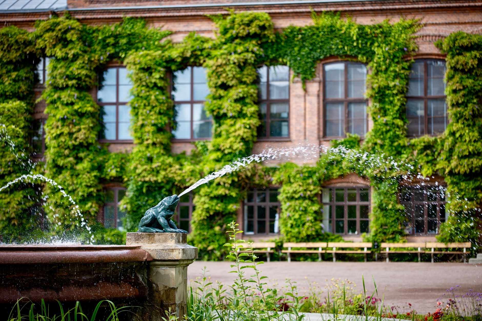 Hlavní budova Debrecínské univerzity s kašnou v zahradě a klasicistní fasádou