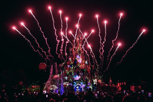 Zájezd do Disneylandu Paříž