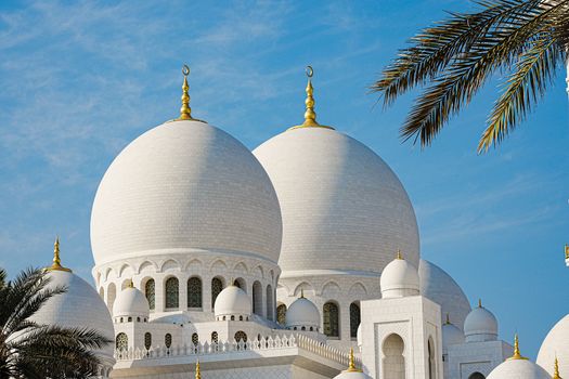 Zájezd do Spojených arabských emirátů