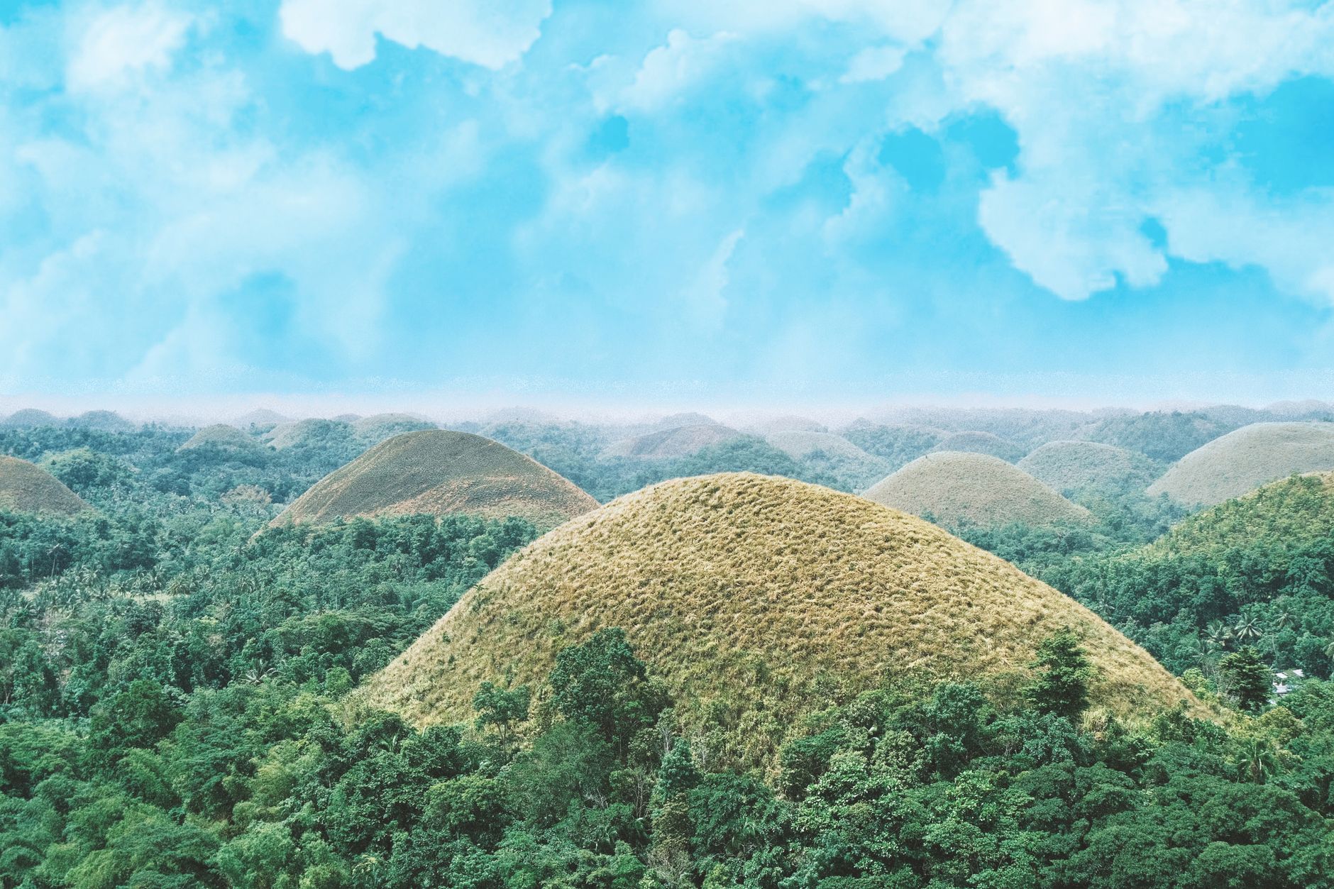 Pravidelné kuželovité pahorky Chocolate Hills na ostrově Bohol v období sucha