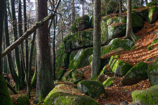 Zájezd do Fontainebleau