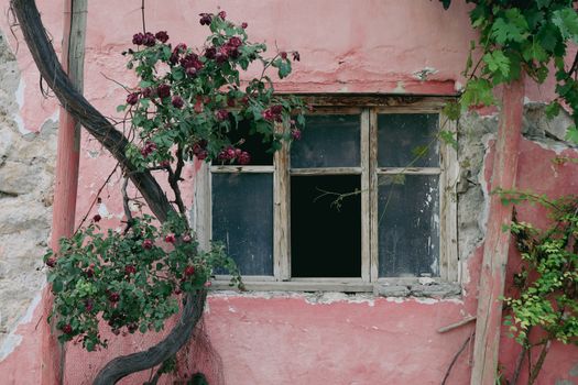 Zájezd do Giverny