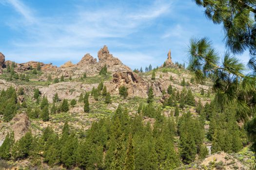 Zájezd Gran Canaria