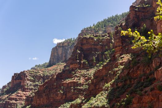 Zájezd na Grand Canyon