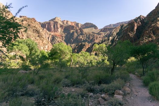 Zájezd na Grand Canyon