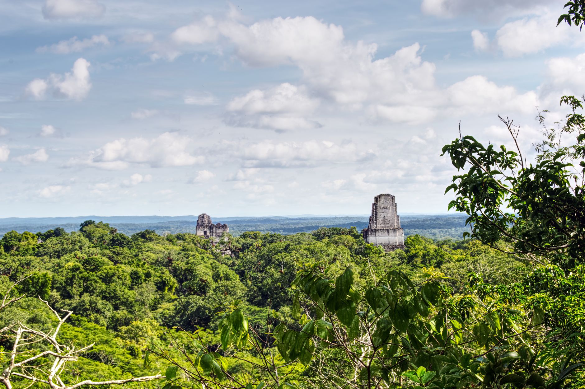 Mayský chrám Tikal vystupující nad korunami pralesa v Guatemale za úsvitu
