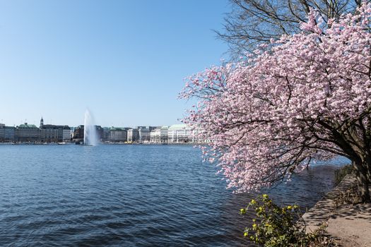 Zájezd do Hamburku