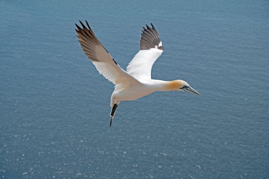 Zájezd na Helgoland