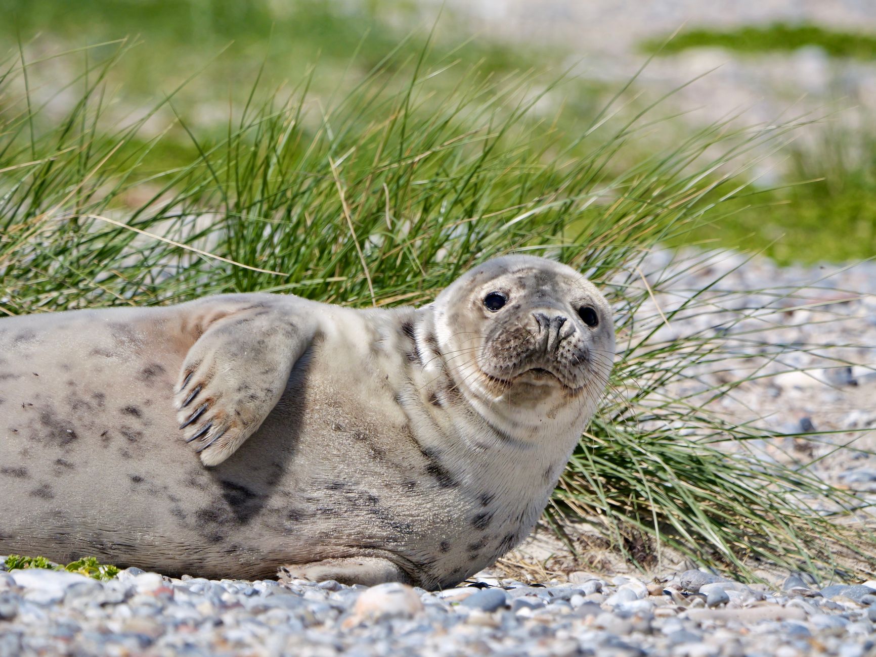 Zájezd na Helgoland