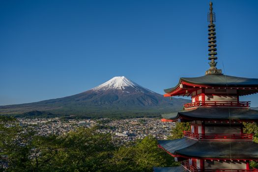 Zájezd do Japonska