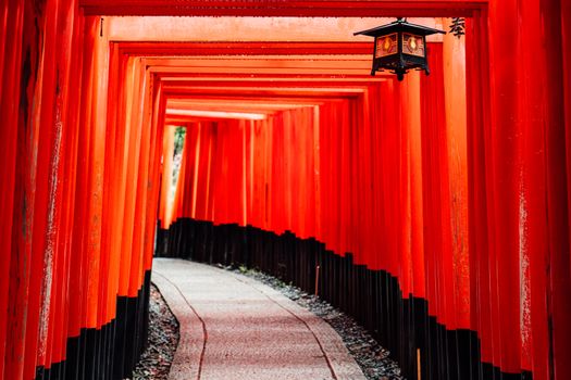 Zájezd do Japonska