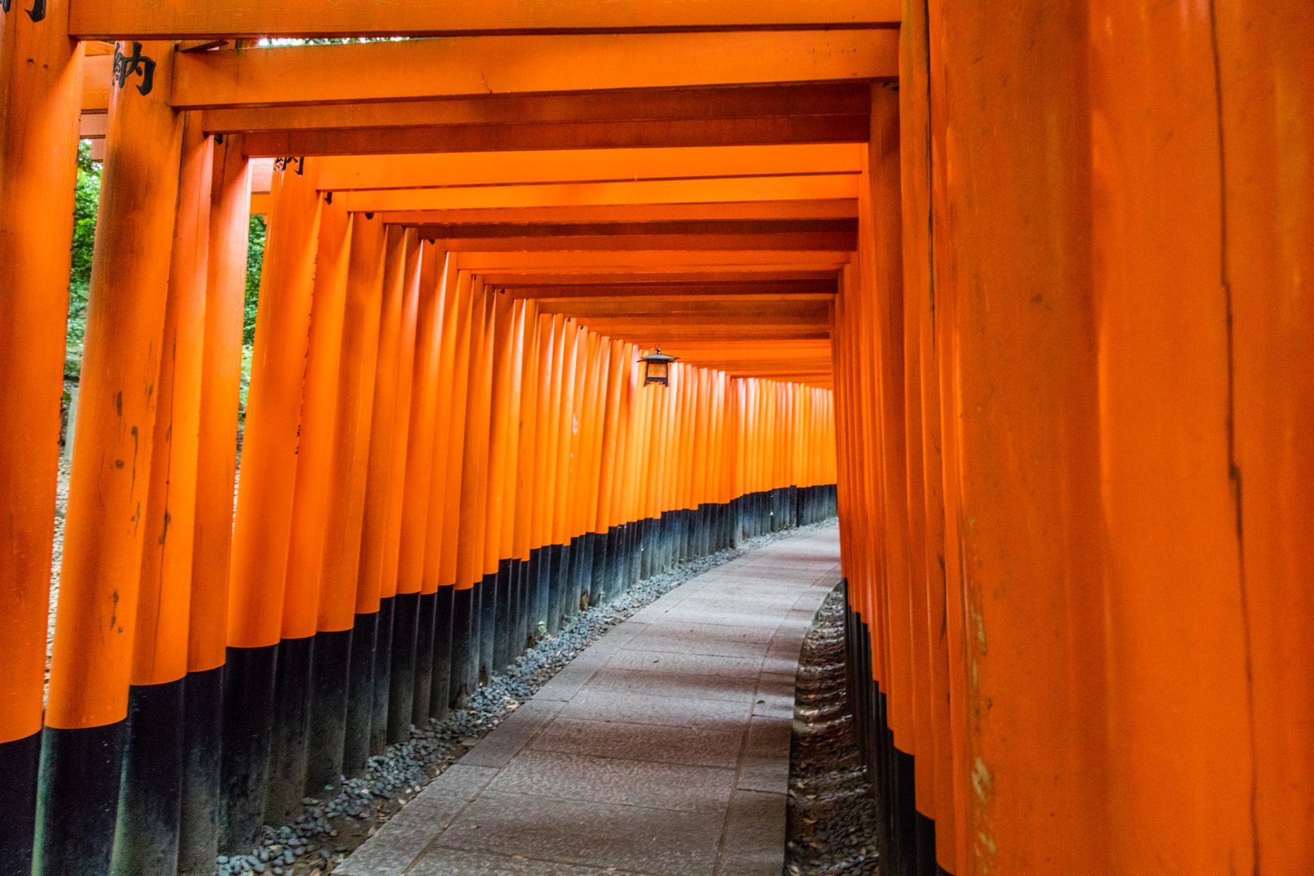 Miska tradičního japonského ramenu s nudlemi a vejcem v bistru