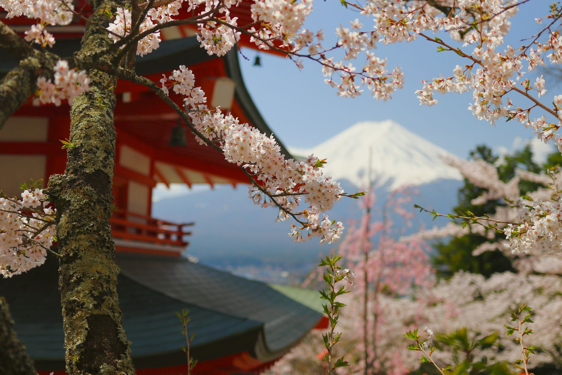 Hora Fudži za jezerem a pětipatrová pagoda Čúreitó na podzim v Japonsku