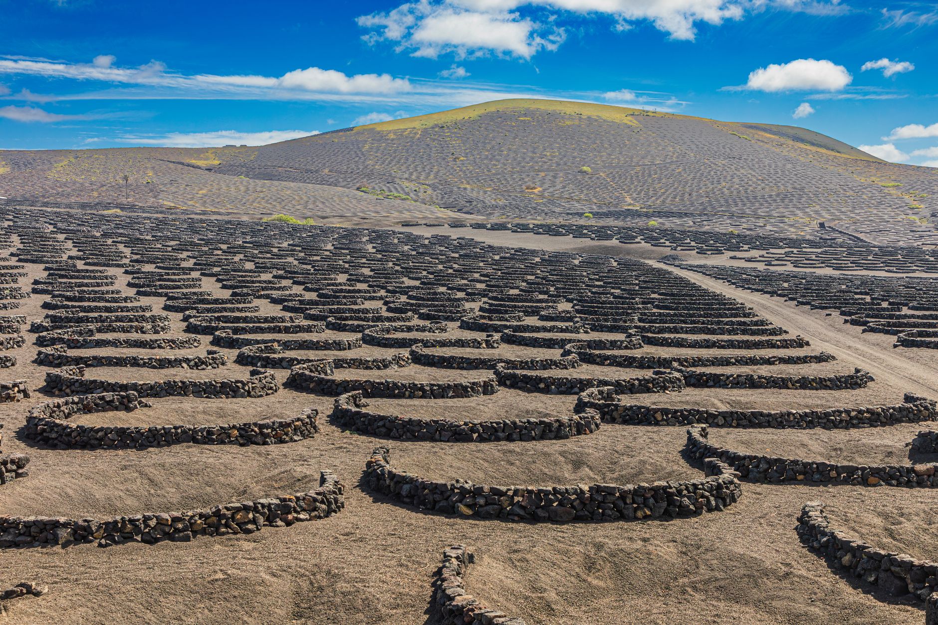Vinice La Geria v jamkách v černém sopečném štěrku na ostrově Lanzarote