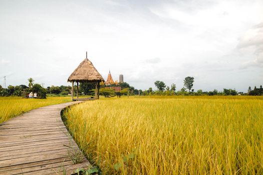 Zájezd do Kanchanaburi