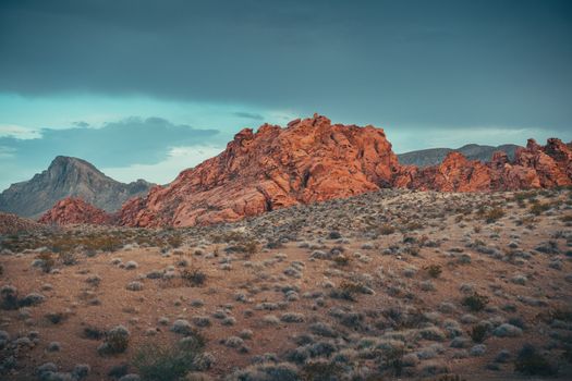 Zájezd do Las Vegas