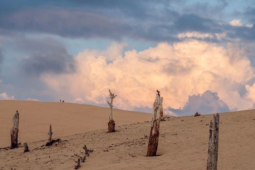 Zájezd Łebská Sahara