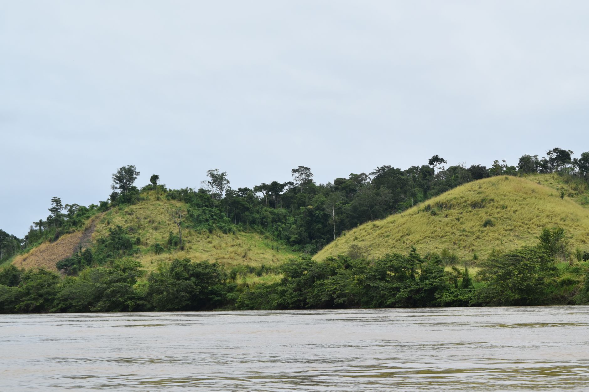 Vápencový kaňon řeky Río Dulce porostlý hustou tropickou džunglí v Guatemale