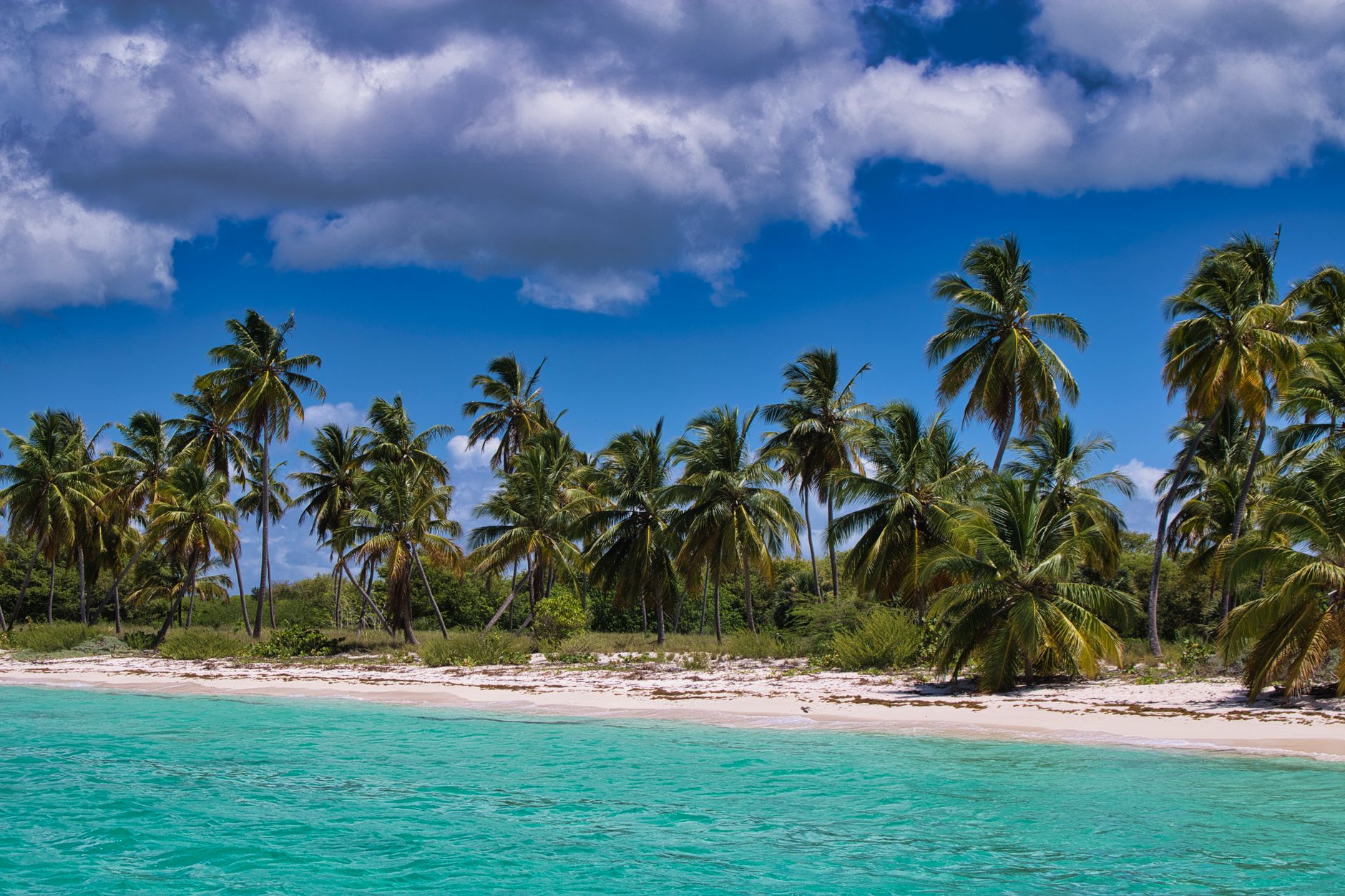 Pláž s palmami a tyrkysovým mořem u Île Sainte-Marie na východním pobřeží Madagaskaru