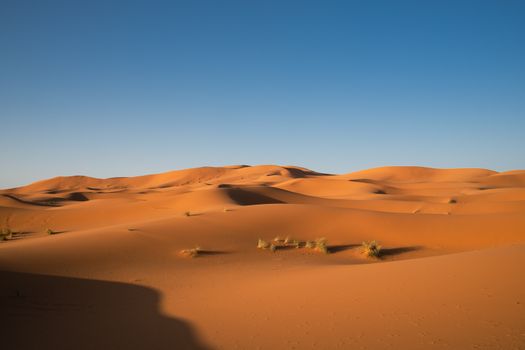 Zájezd do Maroka