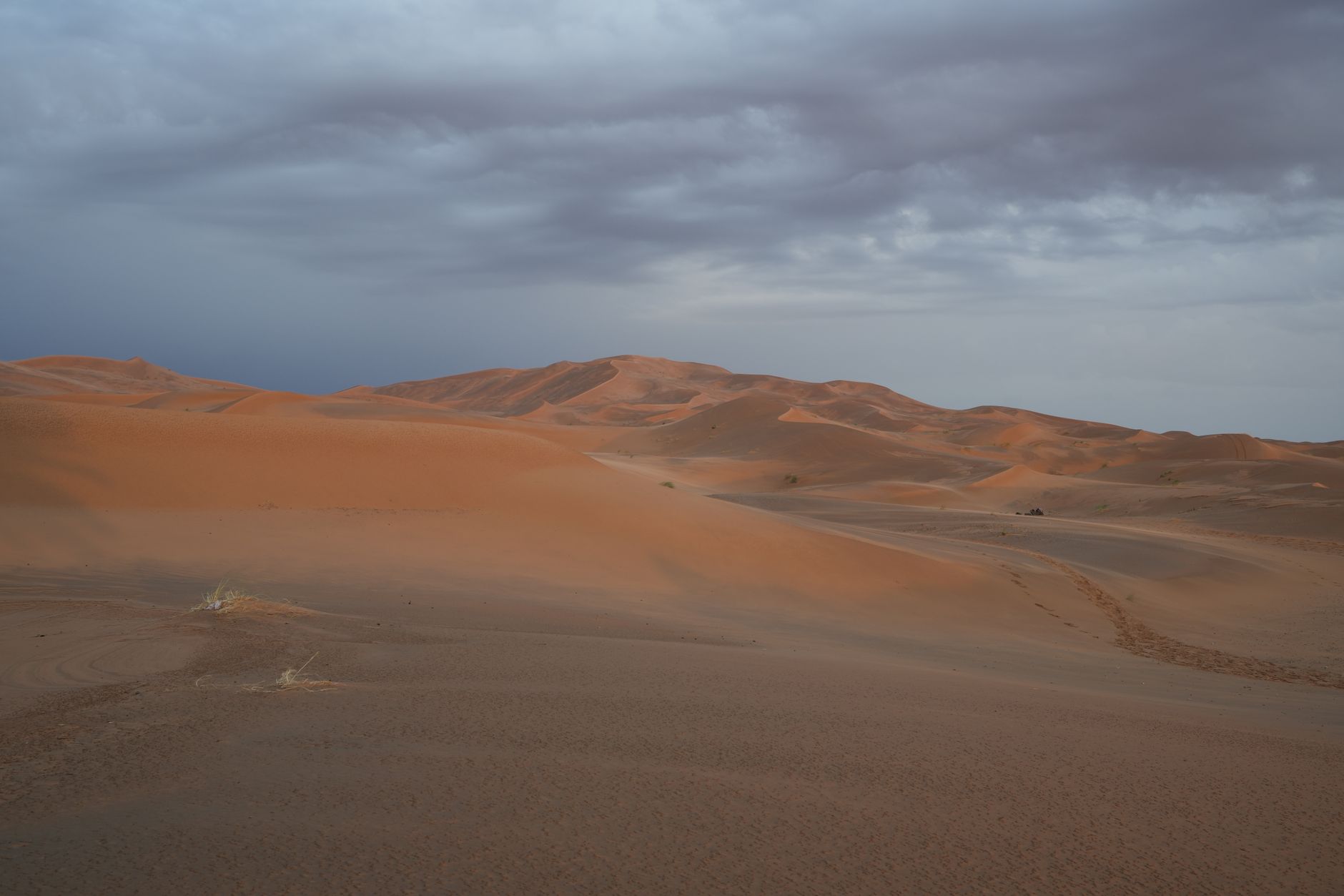 Písečné duny Erg Chebbi na Sahaře u Merzougy s karavanou stop ve zlatém písku za úsvitu