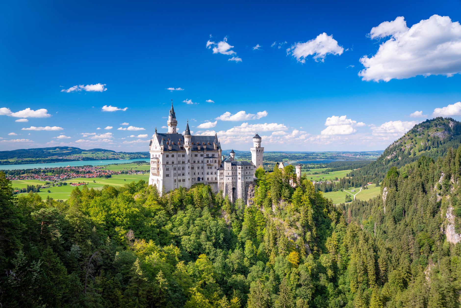 Zámek Neuschwanstein na zalesněném kopci v bavorských Alpách za slunečného dne
