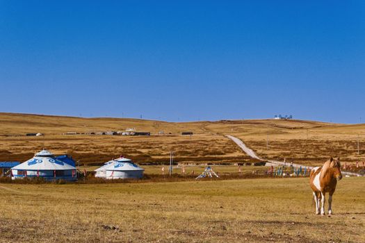 Zájezd do Mongolska