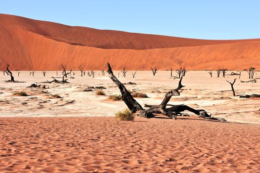 Zájezd do Namibie