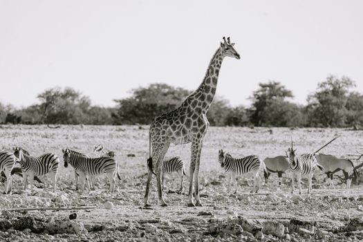 Zájezd do Namibie