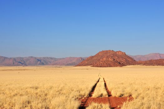 Zájezd do Namibie