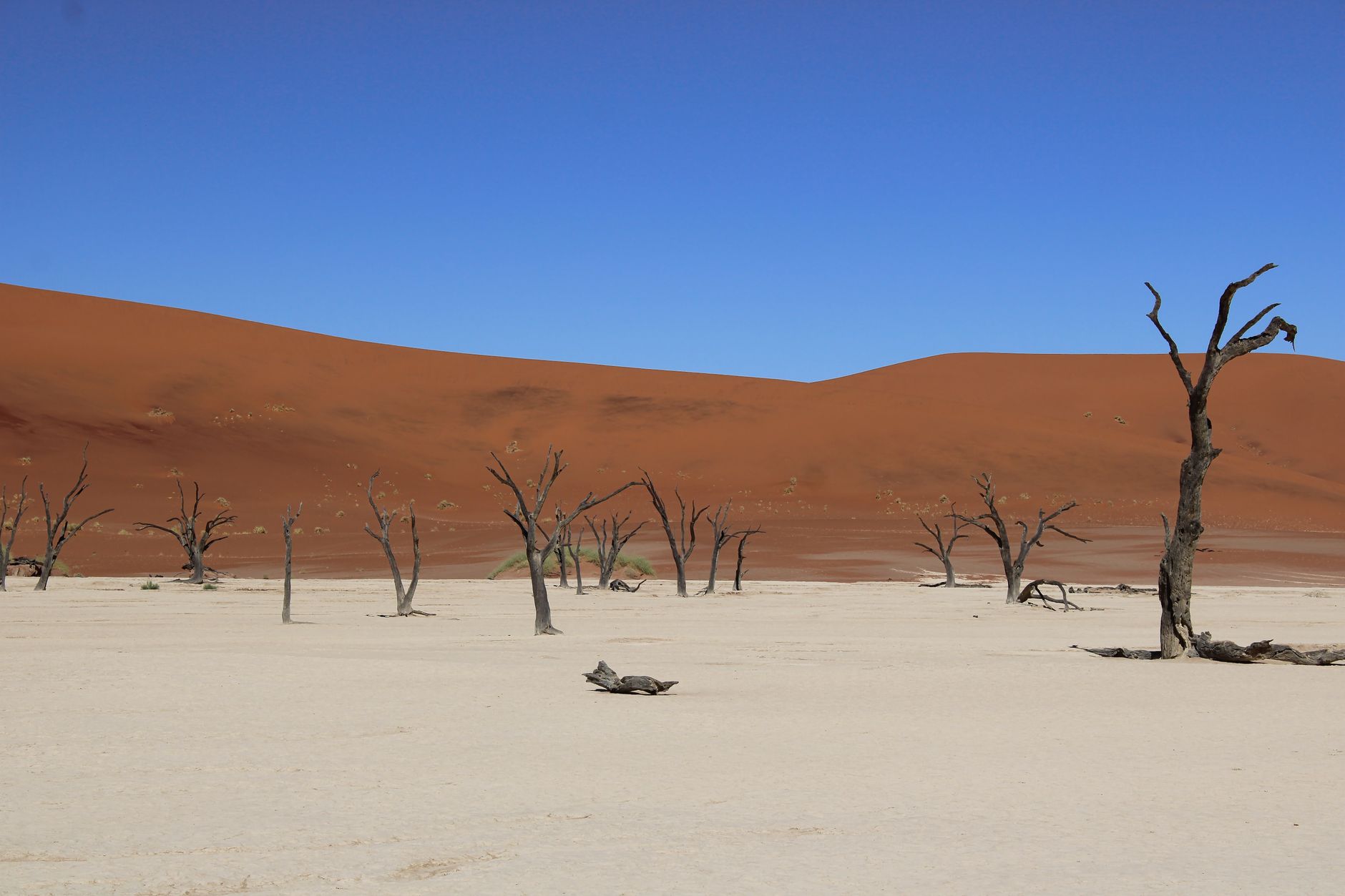 Oranžové duny Sossusvlei v poušti Namib za východu slunce s ostrým hřebenem a stínem